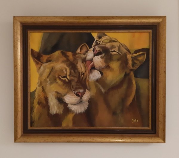 Leeuwen 50 x 60